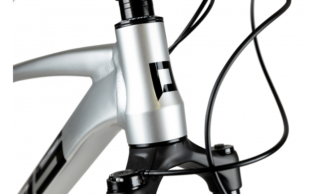 Horské kolo 29" Pells RAZZER EVO 2 2023 silver, vel.19"/L - AKCE!