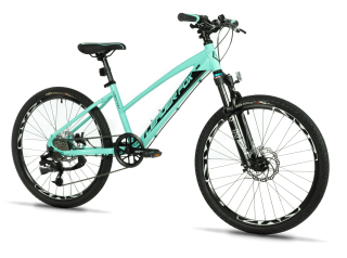 Dívčí kolo Leader Fox CAPITAN 24" Disc /1x8/ 2025 světlá modrá/černá