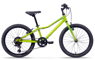 Dětské kolo 20" GALAXY NEPTUN 2025 zelená